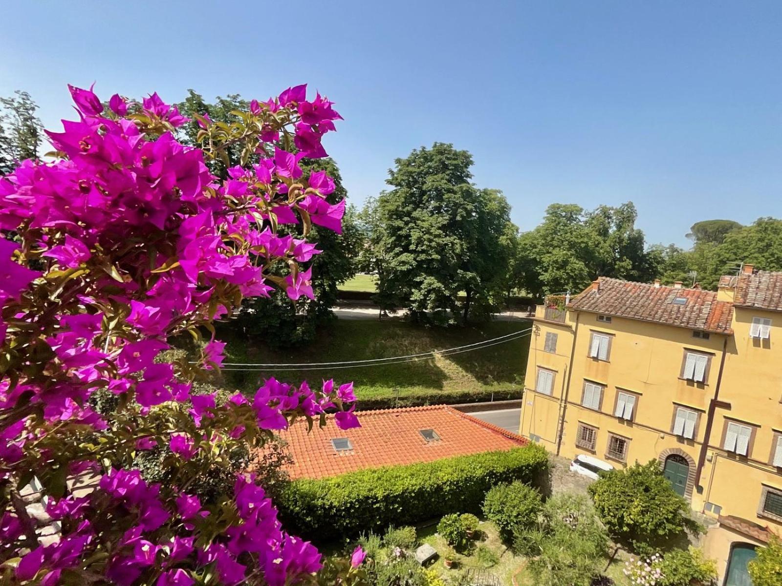 La Terrazza Di Sofia Apartamento Lucca Exterior foto